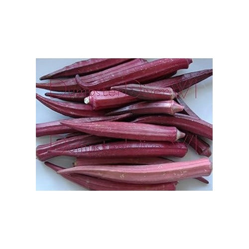 Burgundy Okra Seeds for Planting [neera-v5-850415eb696f465e47c8]