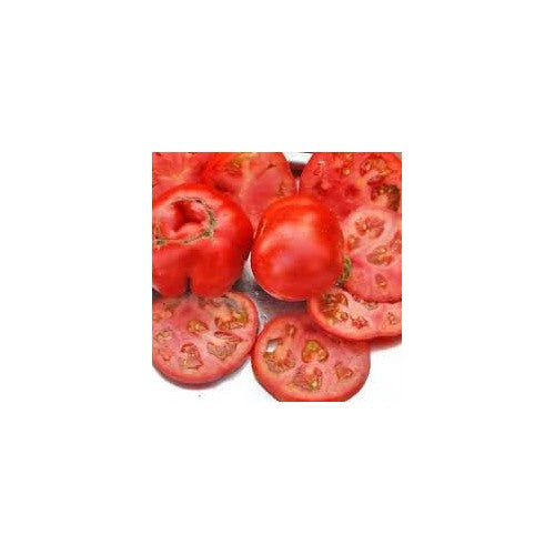 Girl Tomato Seeds for Planting [neera-v5-850a9f5543b3b5cd03ba]