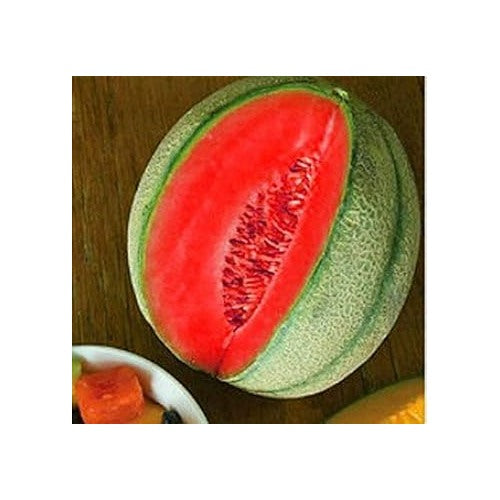 Pink Cantaloupe Fruit Seeds for Planting [neera-v5-8584b1d726c590d1d09e]