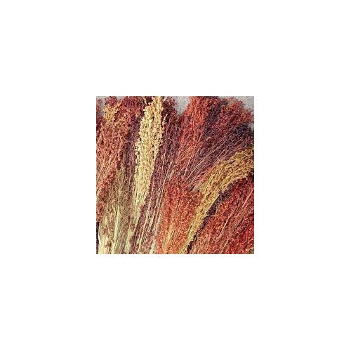 Sorghum Broom Corn Seeds for Planting [neera-v5-85f4660e0edd53e7038f]
