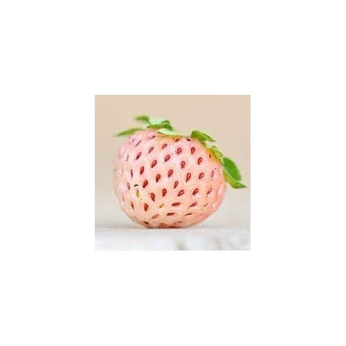Pineberry White Strawberry Fruit Seeds for Planting [neera-v5-863f0b5c79e1bcfd738c]