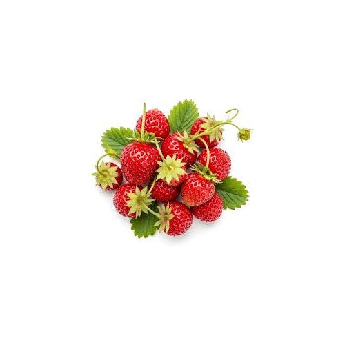 Fragaria vesca Fruit Seeds [neera-v5-864397914dbcf343b75a]