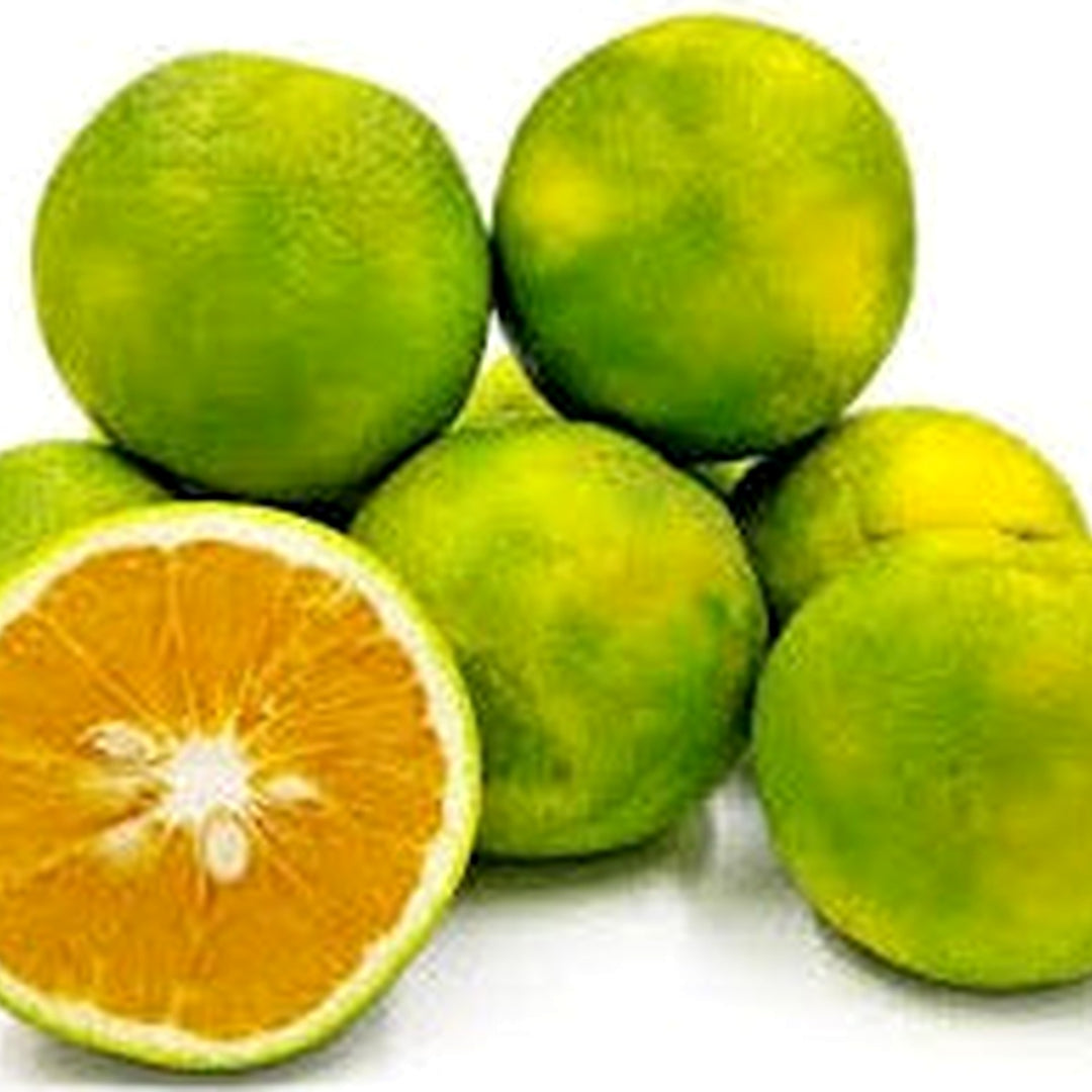 Citrus Limetta Fruit Seeds for Planting [neera-v5-867b9e443ce3ef0d38c2]