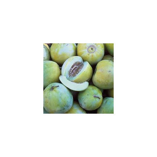 Heirloom Sakata's Sweet Melon Fruit Seeds [neera-v5-86b8d0594dee865863a5]