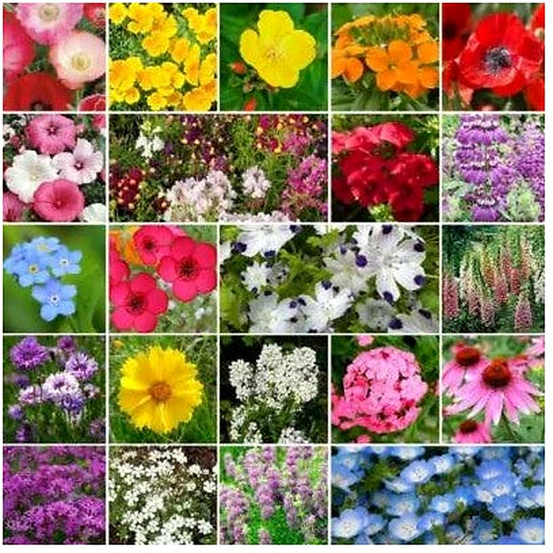 Wildflower Mix Partial Shade Heirloom Flower Species Usa Non Gmo Planting Flower Seeds Home [neera-v5-86f64a76215b7c1af667]