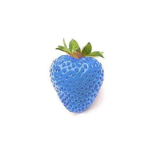 Sky Blue Strawberry Fruit Seeds for Planting [neera-v5-873134240718d6c1ef65]