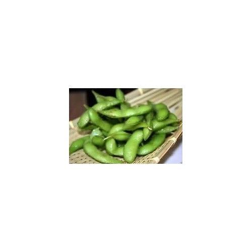 Green Soybean Seeds for Planting [neera-v5-875fbcc626e8346867fb]