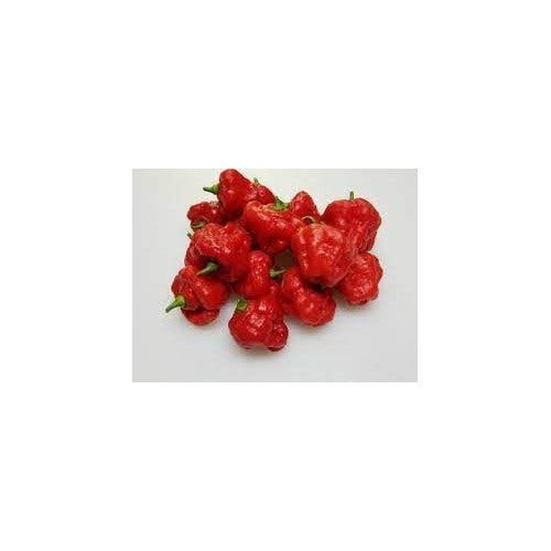 Aji Pepper Vegetable Seeds for Planting [neera-v5-8868a3570571a37bb0cd]