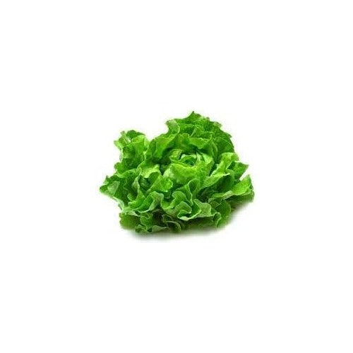 Lettuce Vegetable Seeds for Planting [neera-v5-88c81654546c52fdd366]