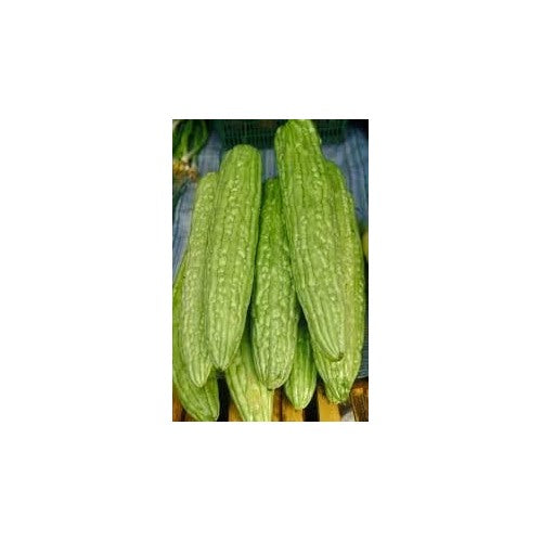 Bitter Melon Gourd Seeds for Planting [neera-v5-88d6dc75ff473a5318db]