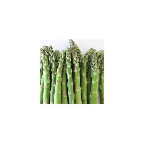Asparagus Martha Seeds for Planting [neera-v5-898dfed9c30f898366f6]