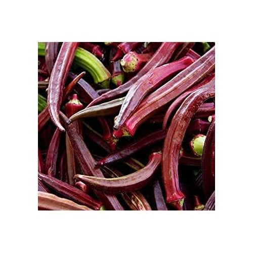 Maroon Red Okra Seeds for Planting [neera-v5-8ab7b6ed5bc70574a7e5]