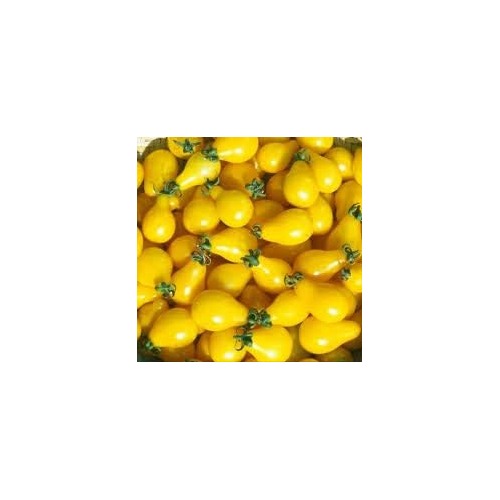 Light Yellow Tomato Seeds for Planting [neera-v5-8ad73ef43d3a1a1688ba]