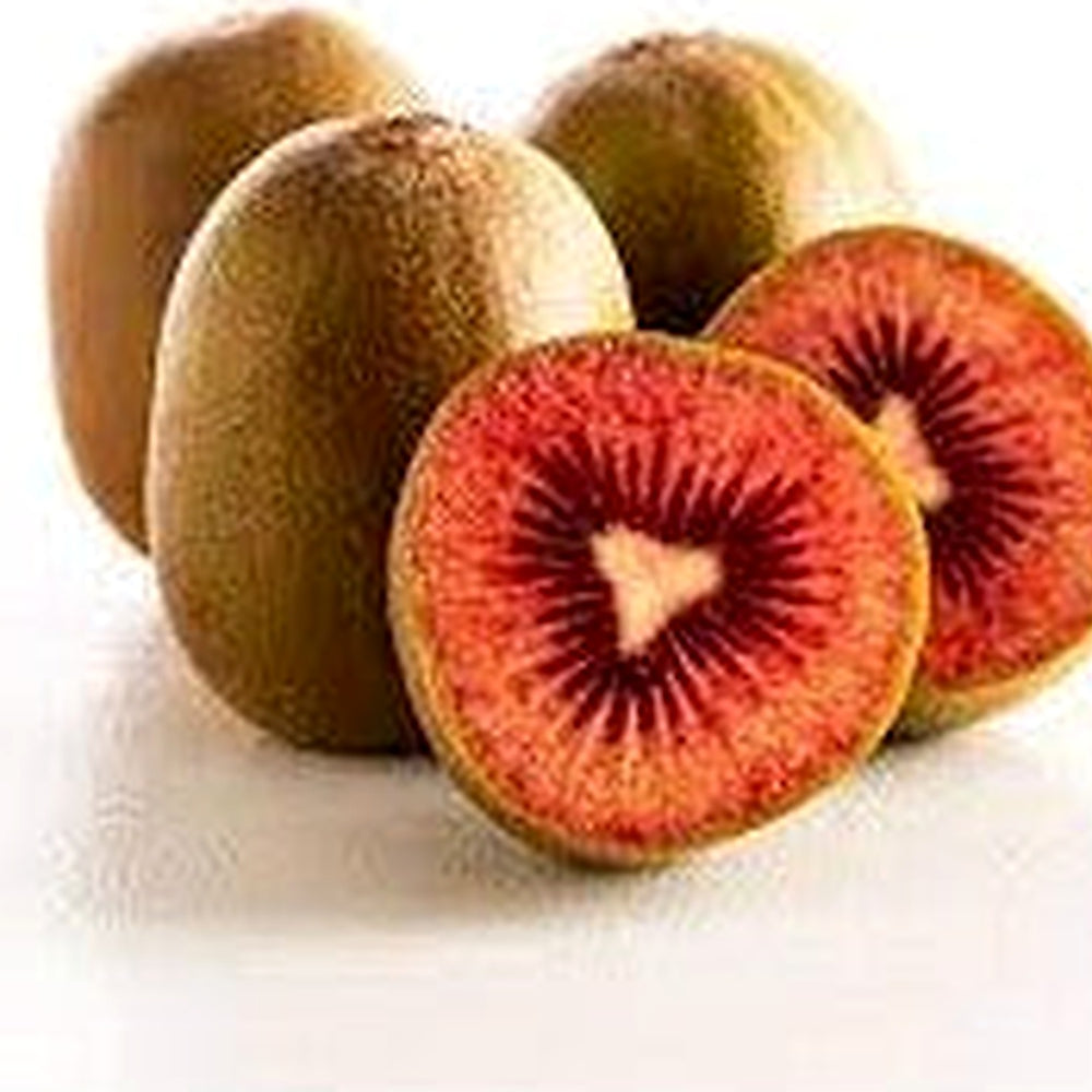 Ruby Red Kiwi Fruit Seeds for Planting [neera-v5-8ae8742b4b698cc669a3]