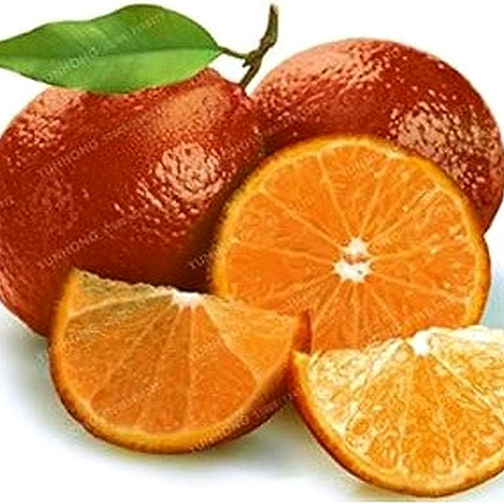 Red Lemon Fruit Seeds for Planting [neera-v5-8aef160baeec180b73f6]