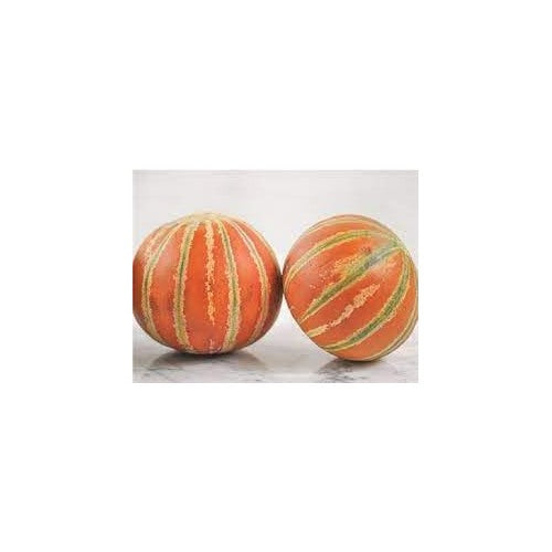 Kajari Melon Fruit Seeds for Planting | Heirloom Non-GMO Organic Seeds for Sweet Indian Melons [neera-v5-8b3877203e7c0e46cccd]