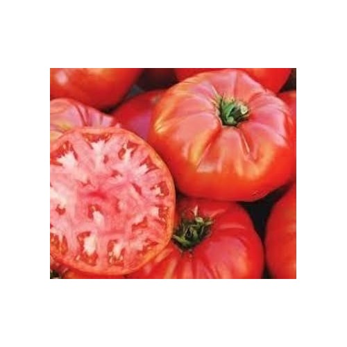 Heirloom Red Tomato Seeds for Planting [neera-v5-8ba33c605048e3ed7f05]