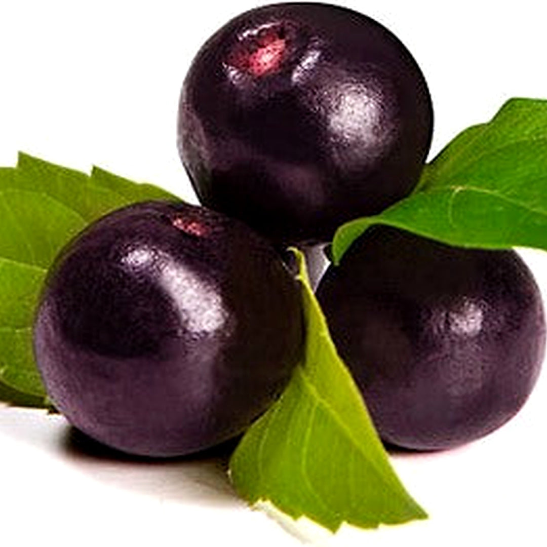 Acai Fruit Seeds for Growing Nutrient-Rich Berries [neera-v5-8bda2b1a9b63677d25ac]