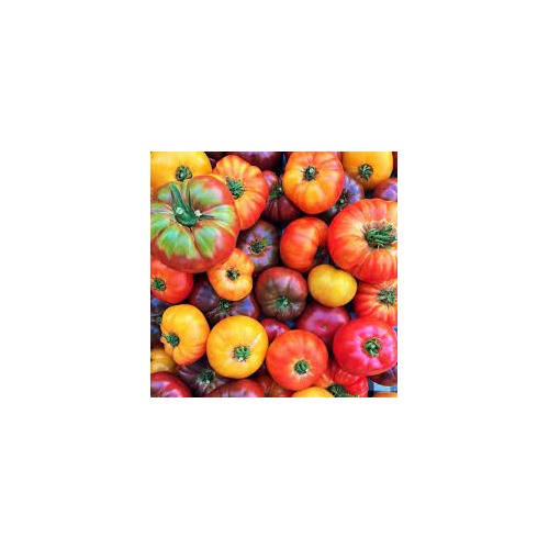 Heirloom Big Mixed Tomato Vegetable Seeds for Planting [neera-v5-8bda6d95bacf16488752]