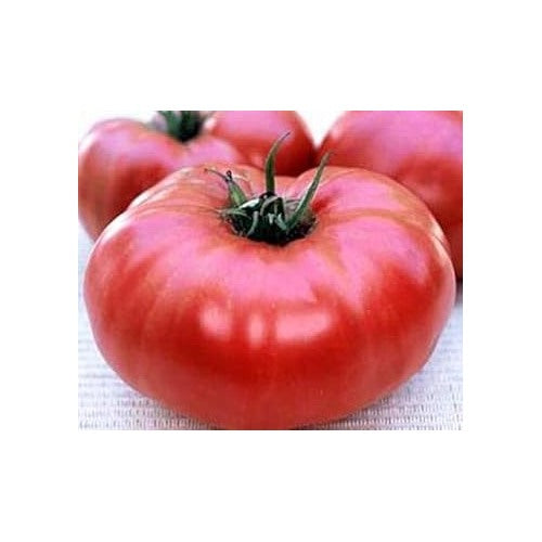 Heirloom Red Tomato Seeds for Planting [neera-v5-8c6f16260cad5047147d]