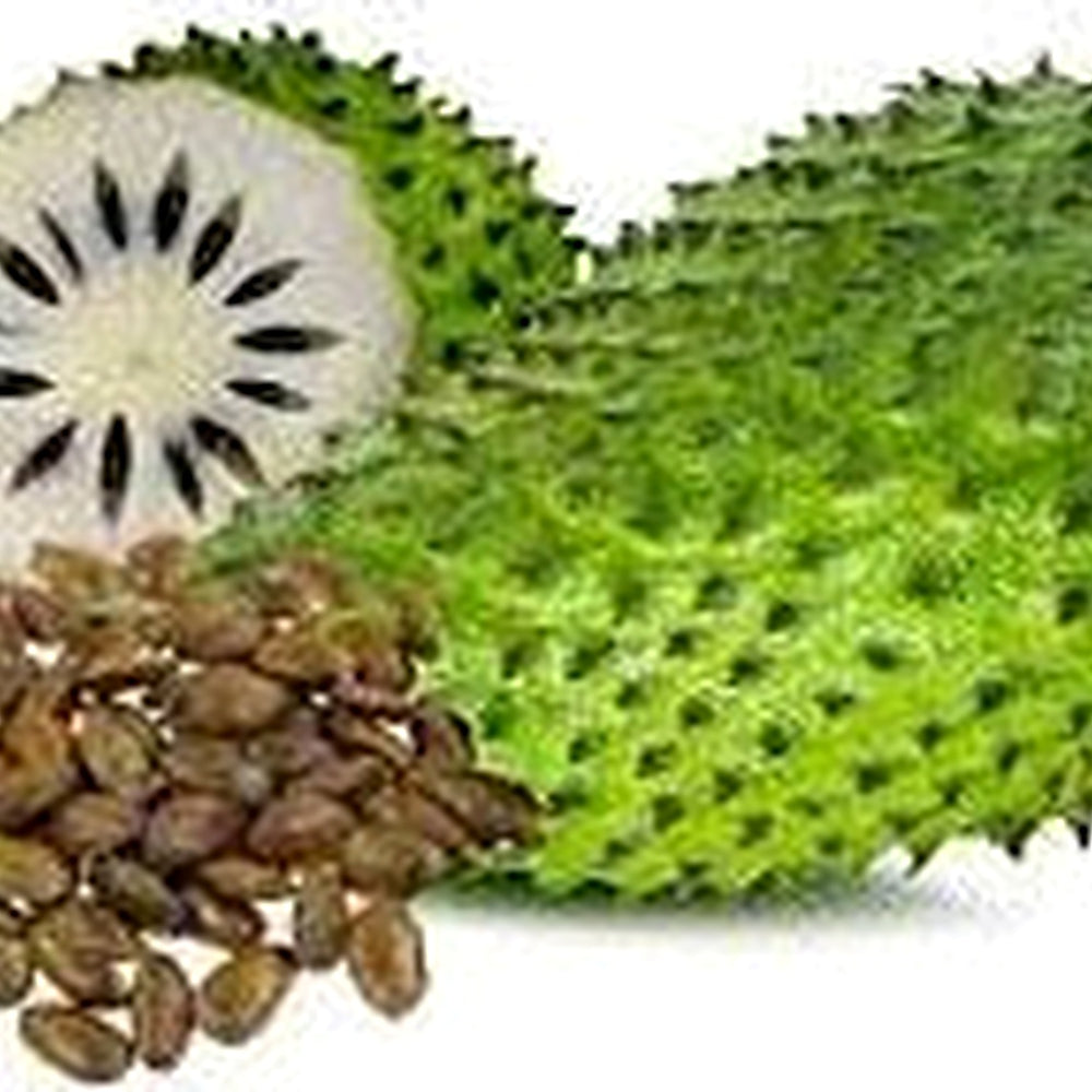 Annona muricata (Sirsak/Graviola/Guanabana) Fruit Seeds for Planting [neera-v5-8c77938b0d0c35256b92]