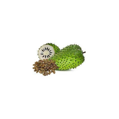 Annona muricata (Sirsak/Graviola/Guanabana) Fruit Seeds for Planting [neera-v5-8c77938b0d0c35256b92]