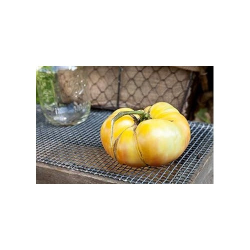 Yellow Tomato Seeds for Planting [neera-v5-8ccec38fa0e3c301f7d7]