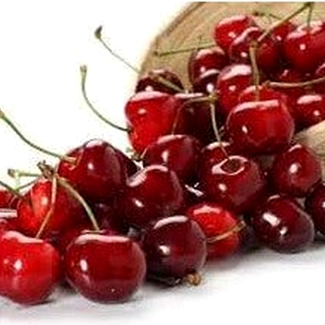 Winterberry Holly Seeds for Festive, Decorative Plants [neera-v5-8cdd82d89e42691bd228]