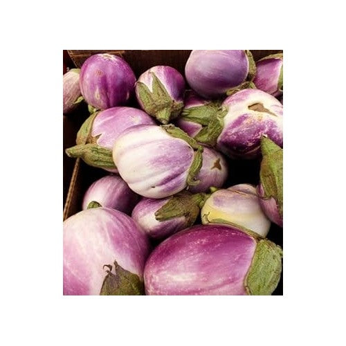 Lavender Eggplant Seeds for Planting [neera-v5-8d1c517e109d17cc9655]