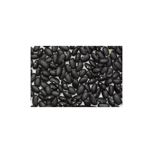 Heirloom Non-GMO Black Turtle Bean Seeds for Home Garden Planting [neera-v5-8da3117e0f964700074a]