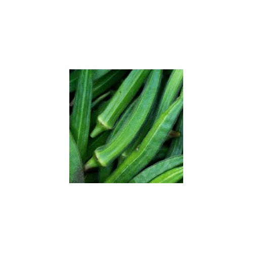 Heirloom Okra Vegetable Seeds for Planting [neera-v5-8e191cfc0e8b215c7387]