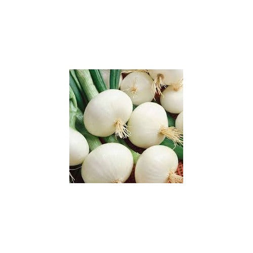 White Onion Vegetable Seeds for Planting [neera-v5-8e4458bfbc6d78971c60]