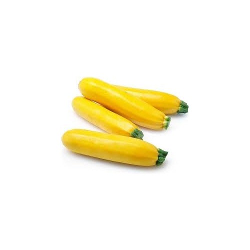 Yellow Zucchini Squash Vegetable Seeds for Planting [neera-v5-8e7d9ae4daf360e66100]