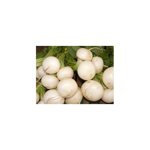 Turnip Shogoin Vegetable Seeds for Planting [neera-v5-8ecb21aff90c6b0d9ae3]