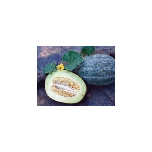 Heirloom Melon Fruit Seeds [neera-v5-8ed523951bf20474cca4]