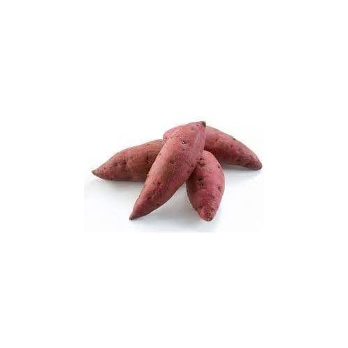 Sweet Potato Seeds for Planting [neera-v5-8f45748561573ccf330e]