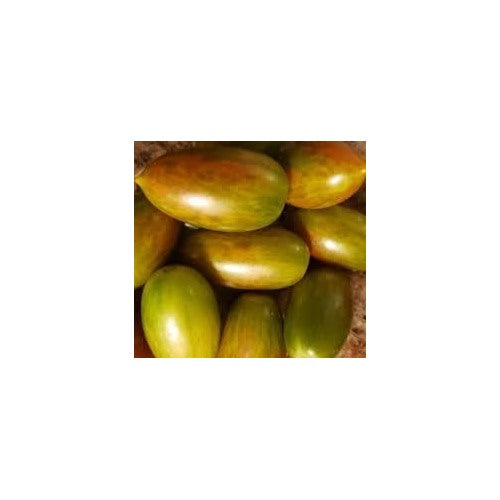 Lucky Tiger Asian Tomato Vegetable Seeds for Planting [neera-v5-8f9fa102ec5e2c007271]