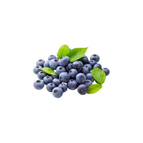 Southern Highbush Blueberries Fruit Seeds [neera-v5-8fbbf7d4fa28589d42c7]