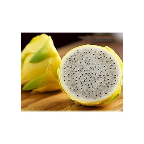 Yellow Melon Fruit Seeds for Planting [neera-v5-8fbf50fccca77cd8948f]