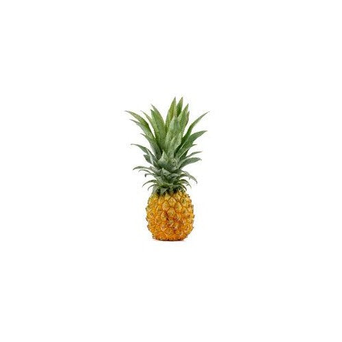 Queen Victoria Pineapple Fruit Seeds [neera-v5-9010d4aa23b6df5cde45]