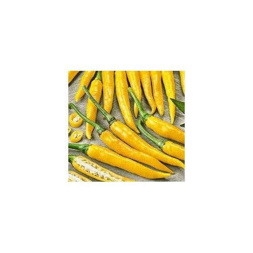 Yellow Bedder Macedonian Pepper Seeds for Planting [neera-v5-90d16afe6c89b36de9eb]