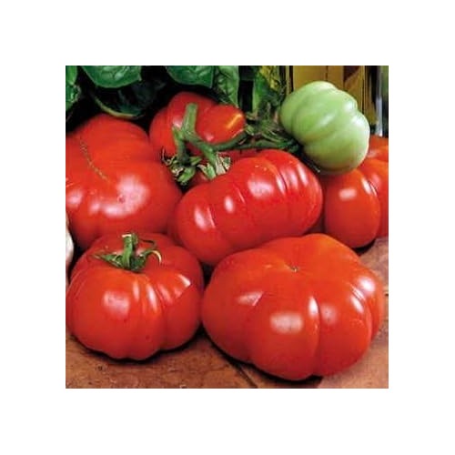 Dark Red Tomato Seeds for Planting [neera-v5-912bec8d73377384dded]