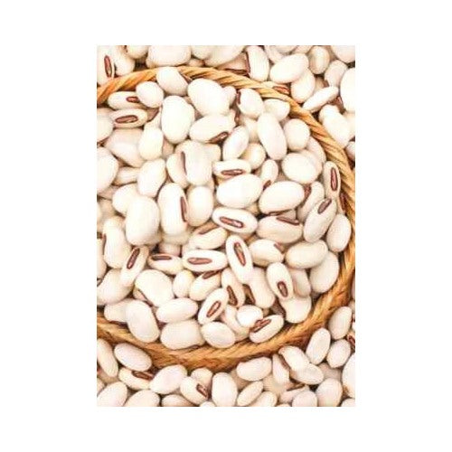 Jack Bean Wondersword Canavalia Ensimis Organic Stock Heirloom Non Gmo Flower Seeds Home [neera-v5-91d9cb53d7a986611bb4]