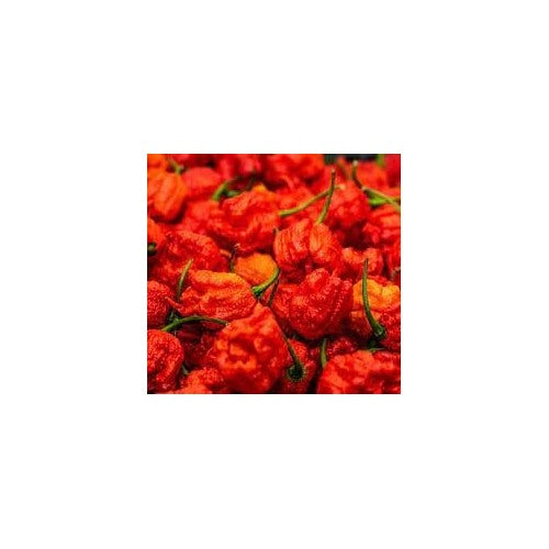 Trinidad Scorpion Pepper Vegetable Seeds for Planting [neera-v5-923621a807125ee5b2d4]
