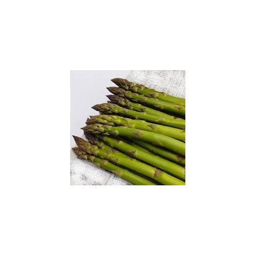 Asparagus Mary Washington Seeds [neera-v5-9244175286e9081c9437]