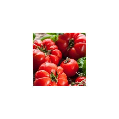 Big Red Tomato Seeds for Planting [neera-v5-9261093a765ba2483707]