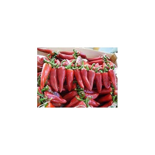 Guindilla Pepper Seeds for Planting [neera-v5-9261f1f337583e9ed1c3]