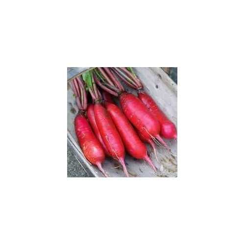 Pink Radish Seeds for Planting [neera-v5-92b60298c825da7dfadf]