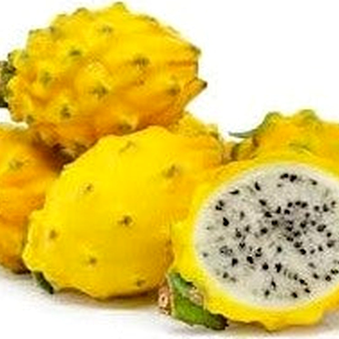 Yellow Pitaya Fruit Seeds for Planting [neera-v5-93c2a962f3f30bdf63d2]