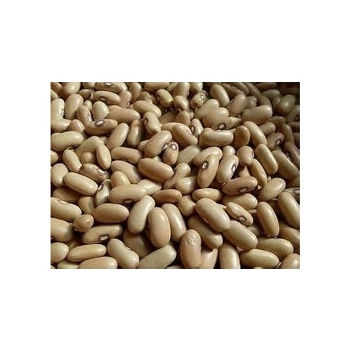 Yellow Arikara Bean Seeds for Planting [neera-v5-93da42186f4fe22c1c46]